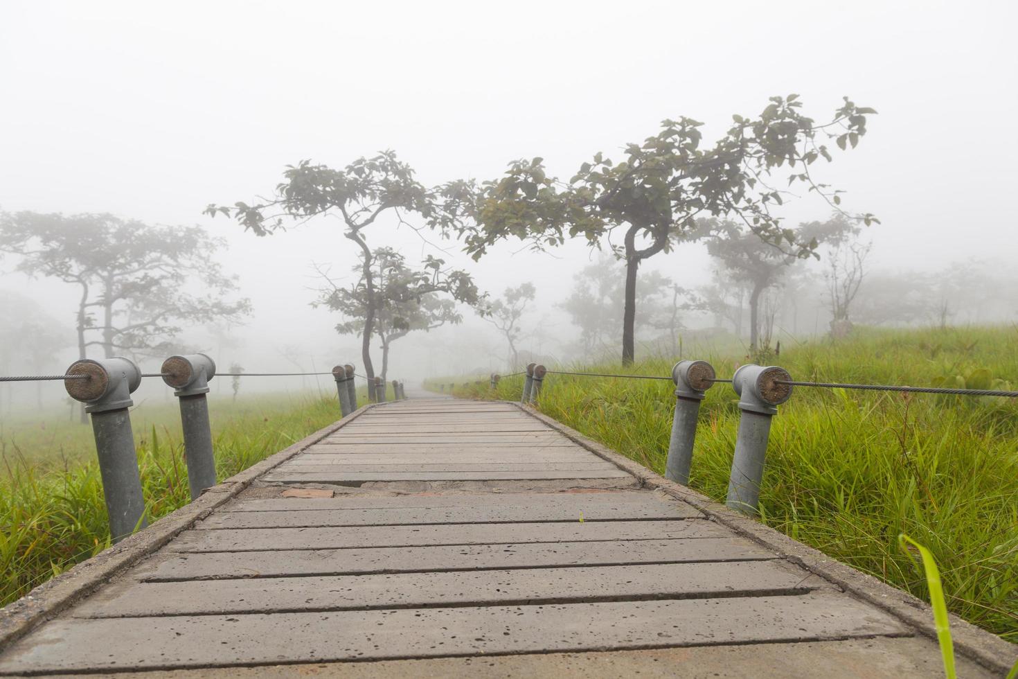 passerella in legno in thailandia foto