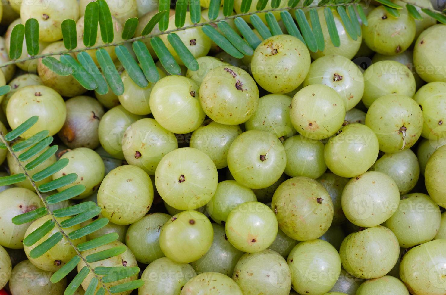fresco biologico indiano uva spina o emblico frutta foto