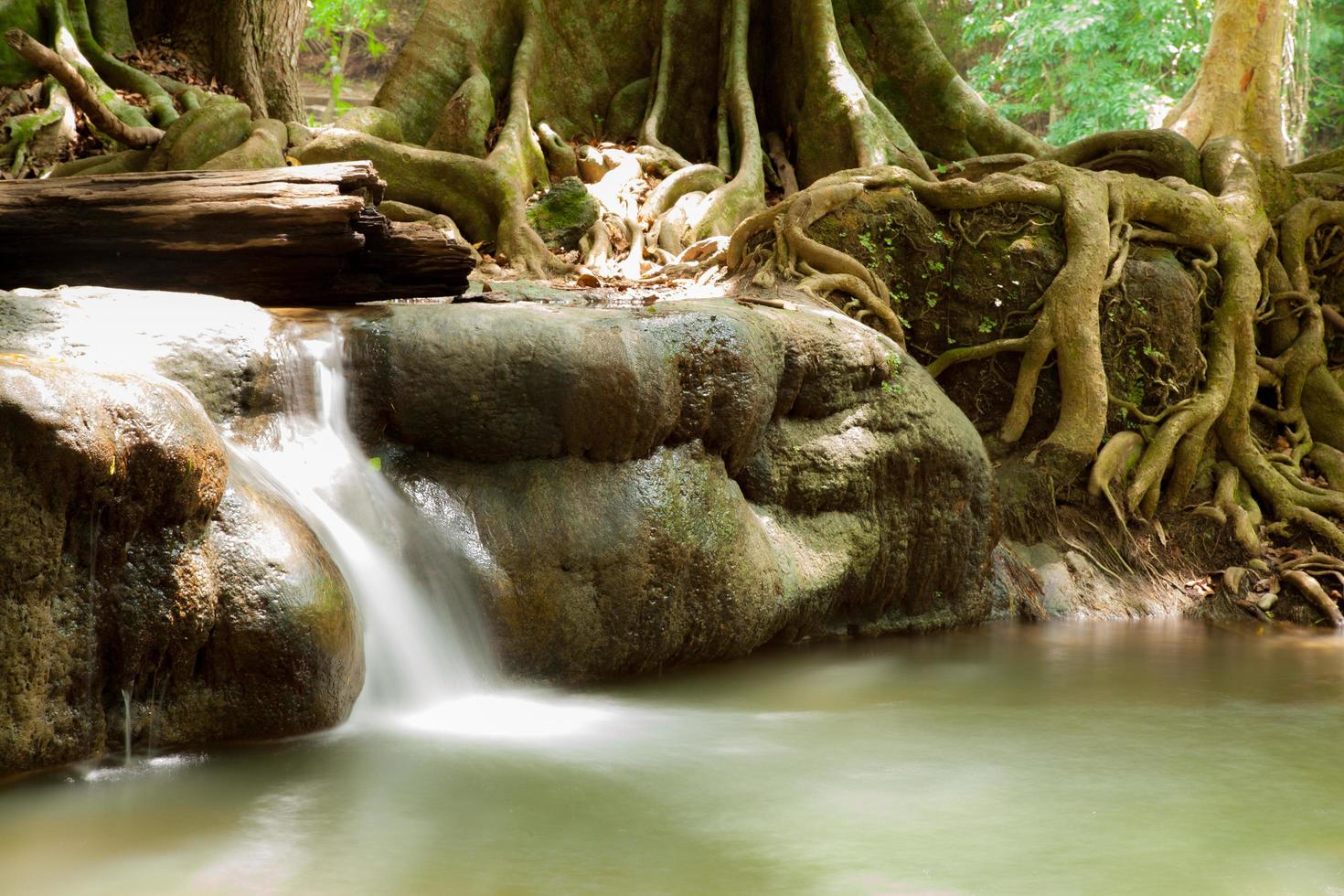 piccolo fiume nella foresta in Thailandia foto