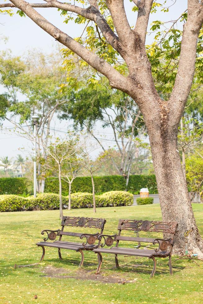 panchine nel parco foto