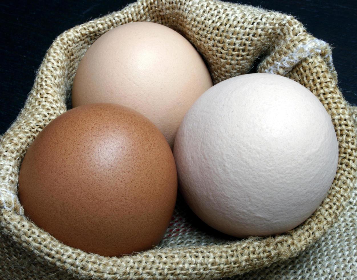 tre uova in un sacchetto foto