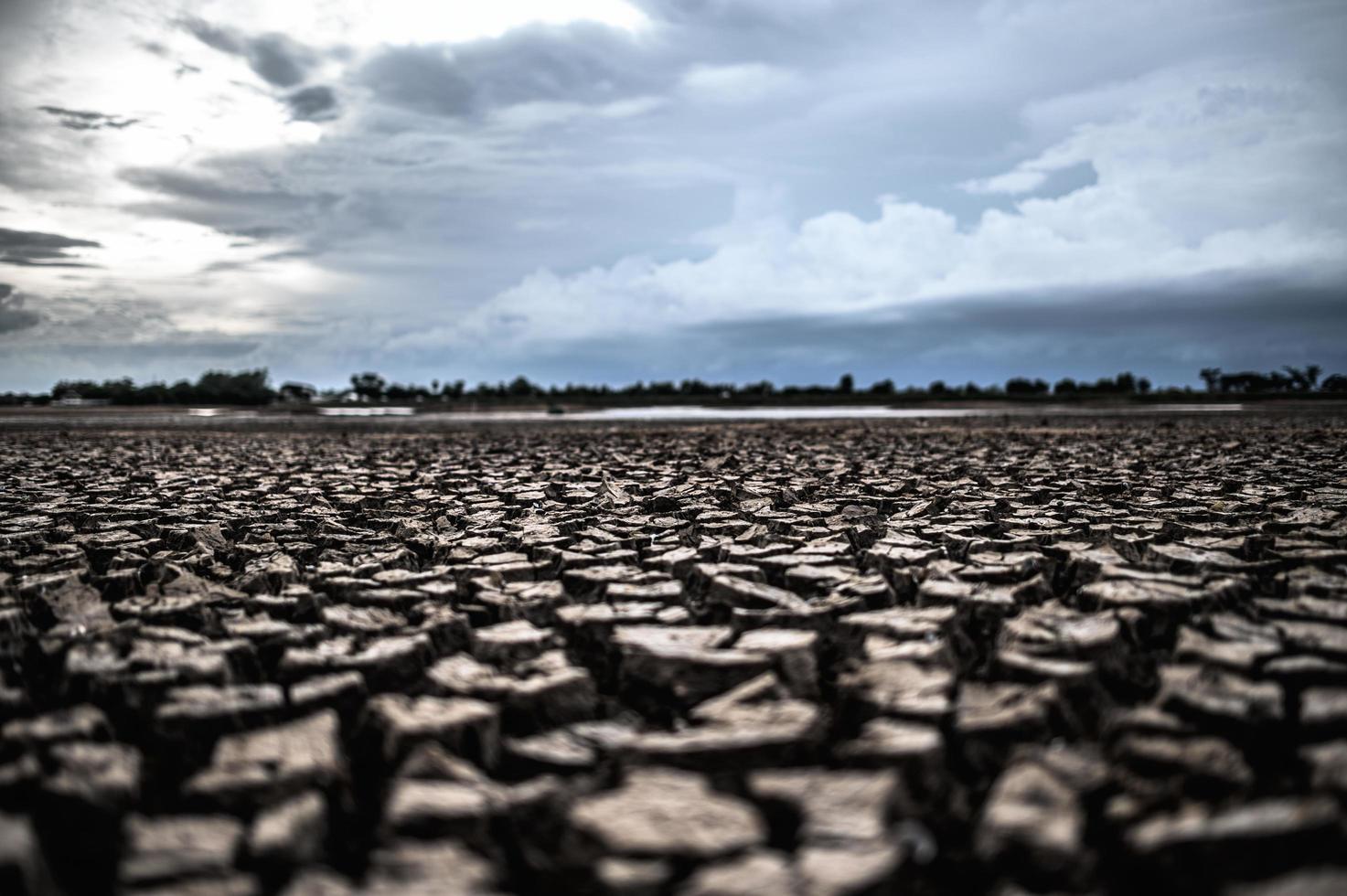 terra arida con terreno asciutto e screpolato foto