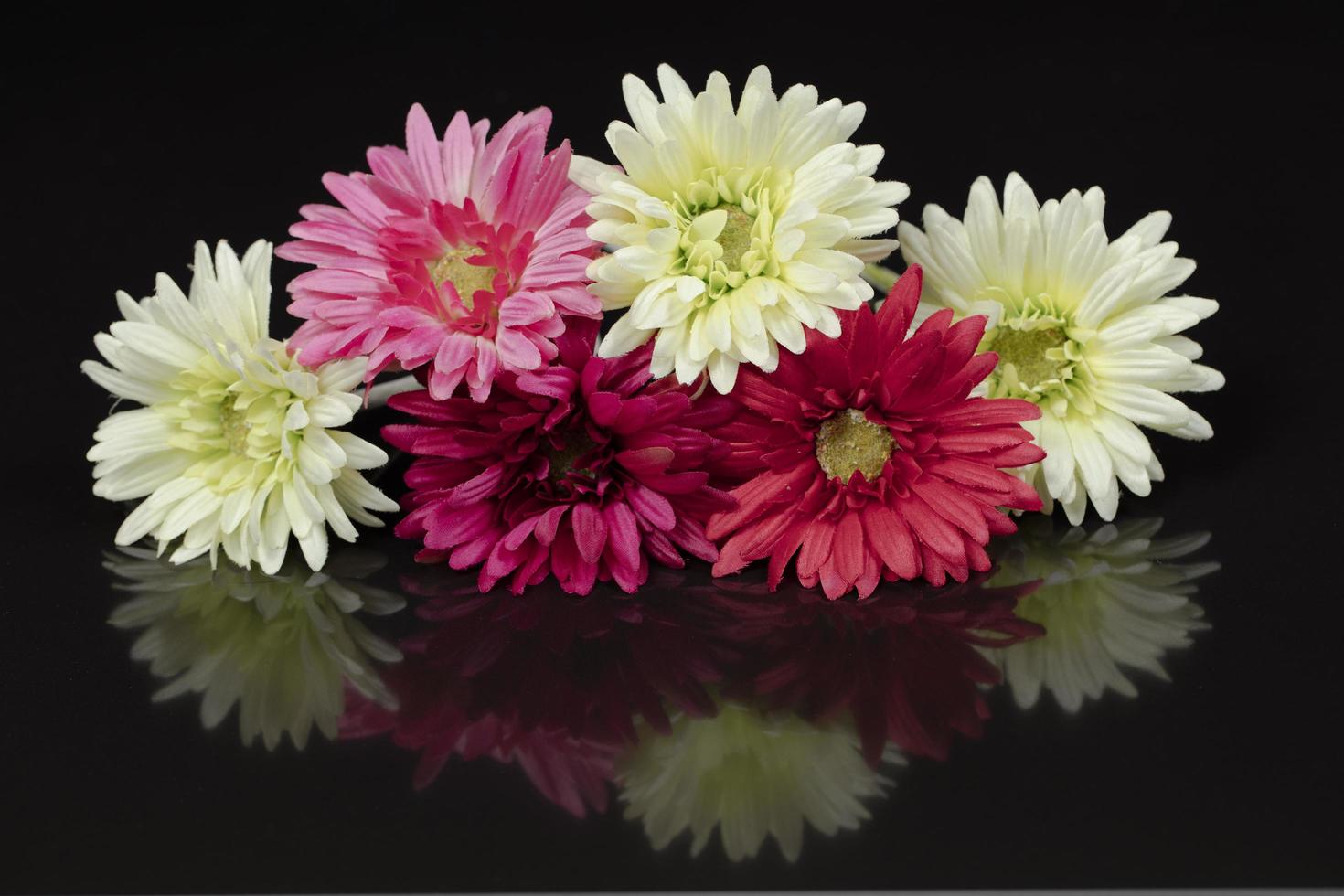 fiore decorazione bianca e rosa su sfondo nero foto