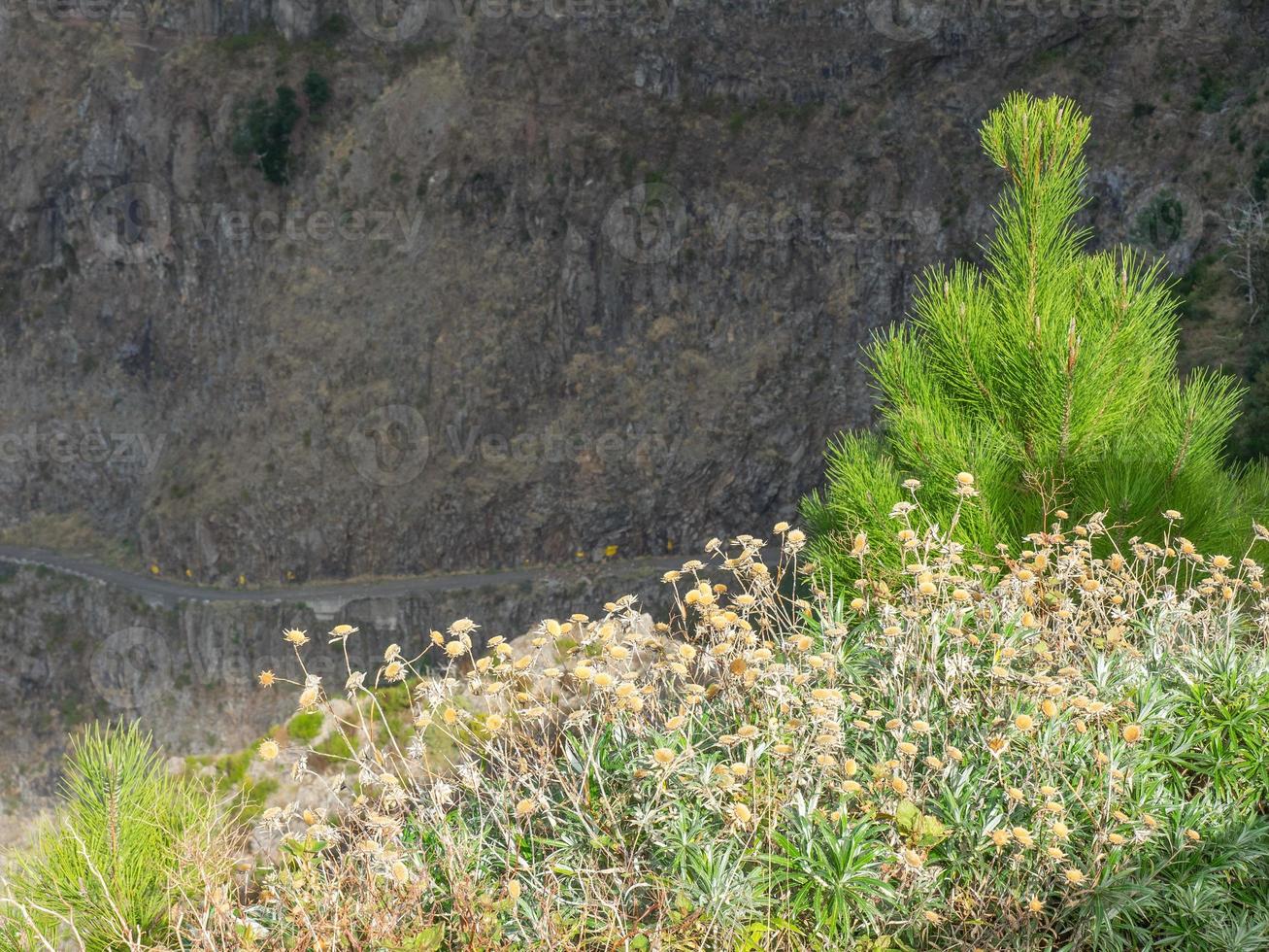 l'isola di Madera foto