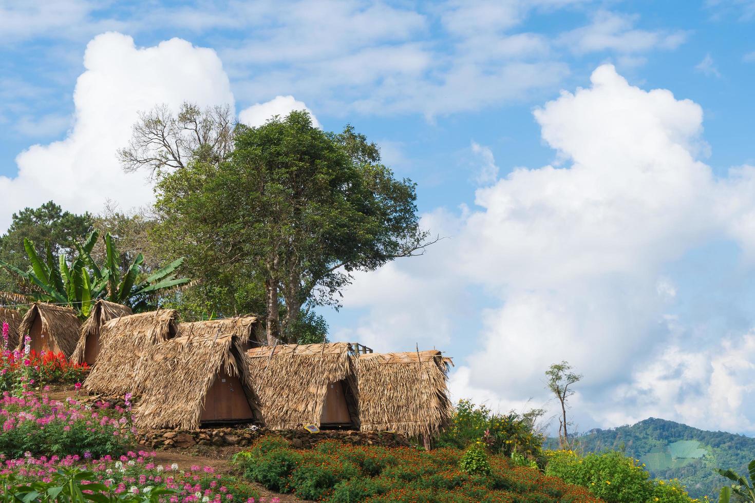 cottage e campo di fiori nella Thailandia rurale foto