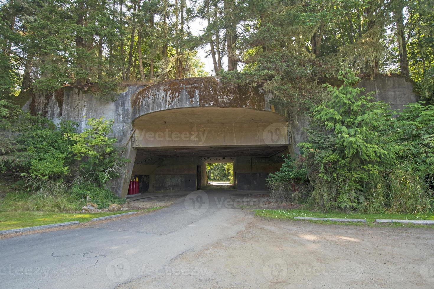 16 pollice pistola casamatta nel un' costiero foresta foto