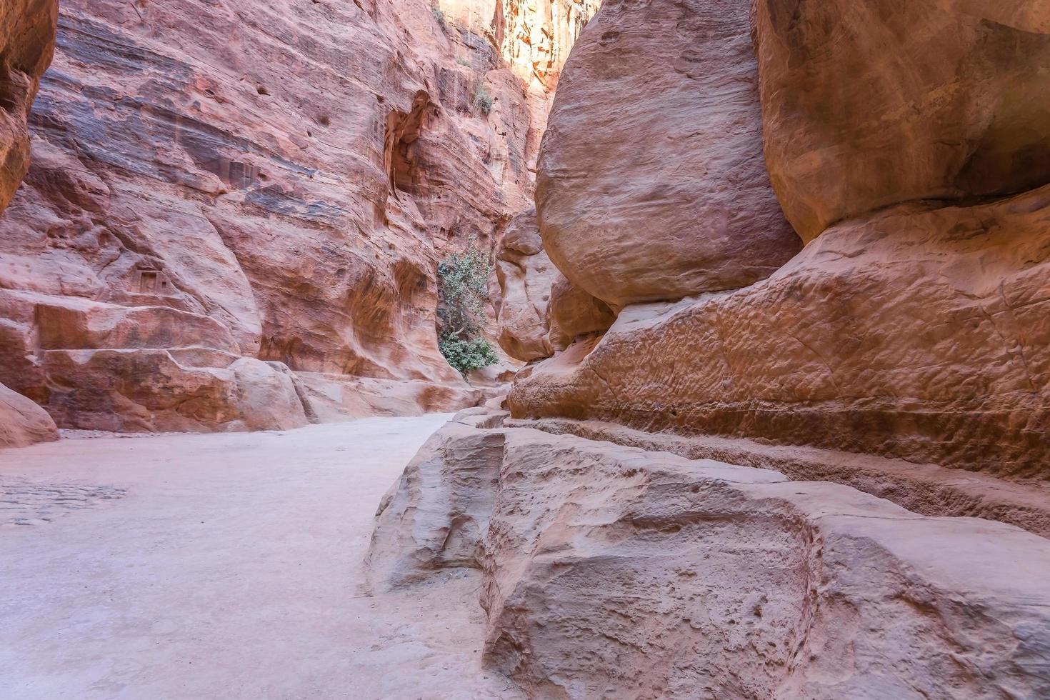 canyon siq situato a rose city, petra. Giordania foto