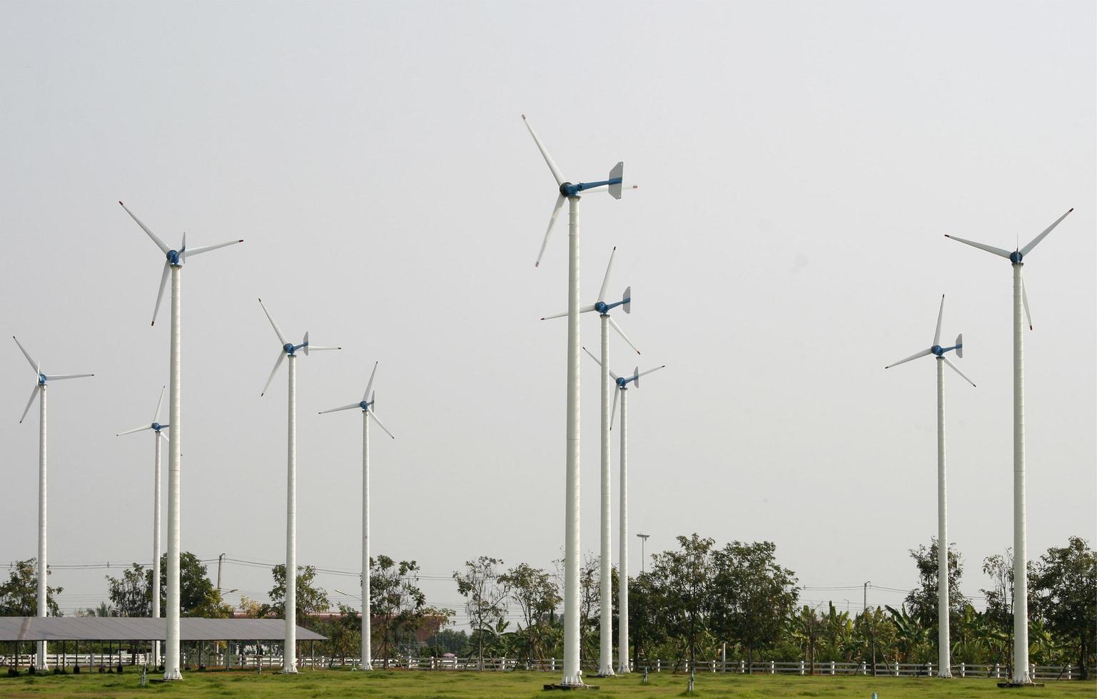 campo delle turbine eoliche foto