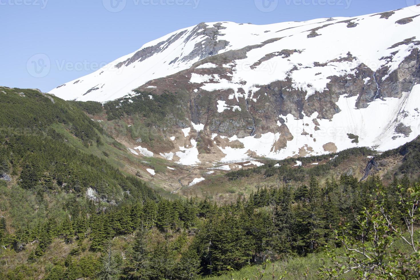 nevoso montagna su Maggio nel Juneau foto