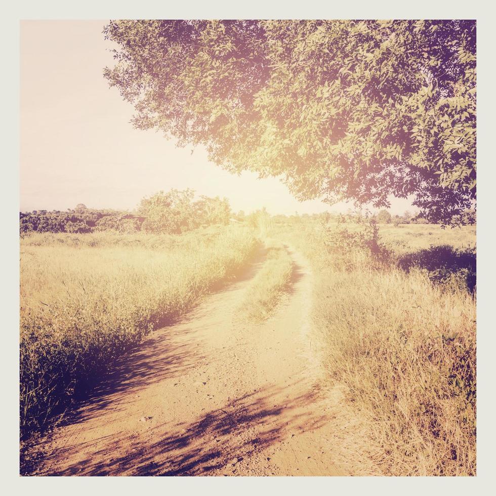 campo Vintage ▾ nel campagna con luce del sole foto