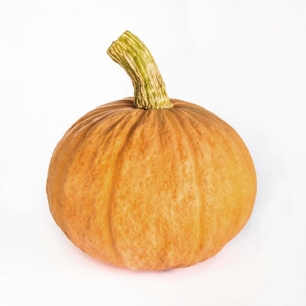 zucca arancione fresca isolata su sfondo bianco foto