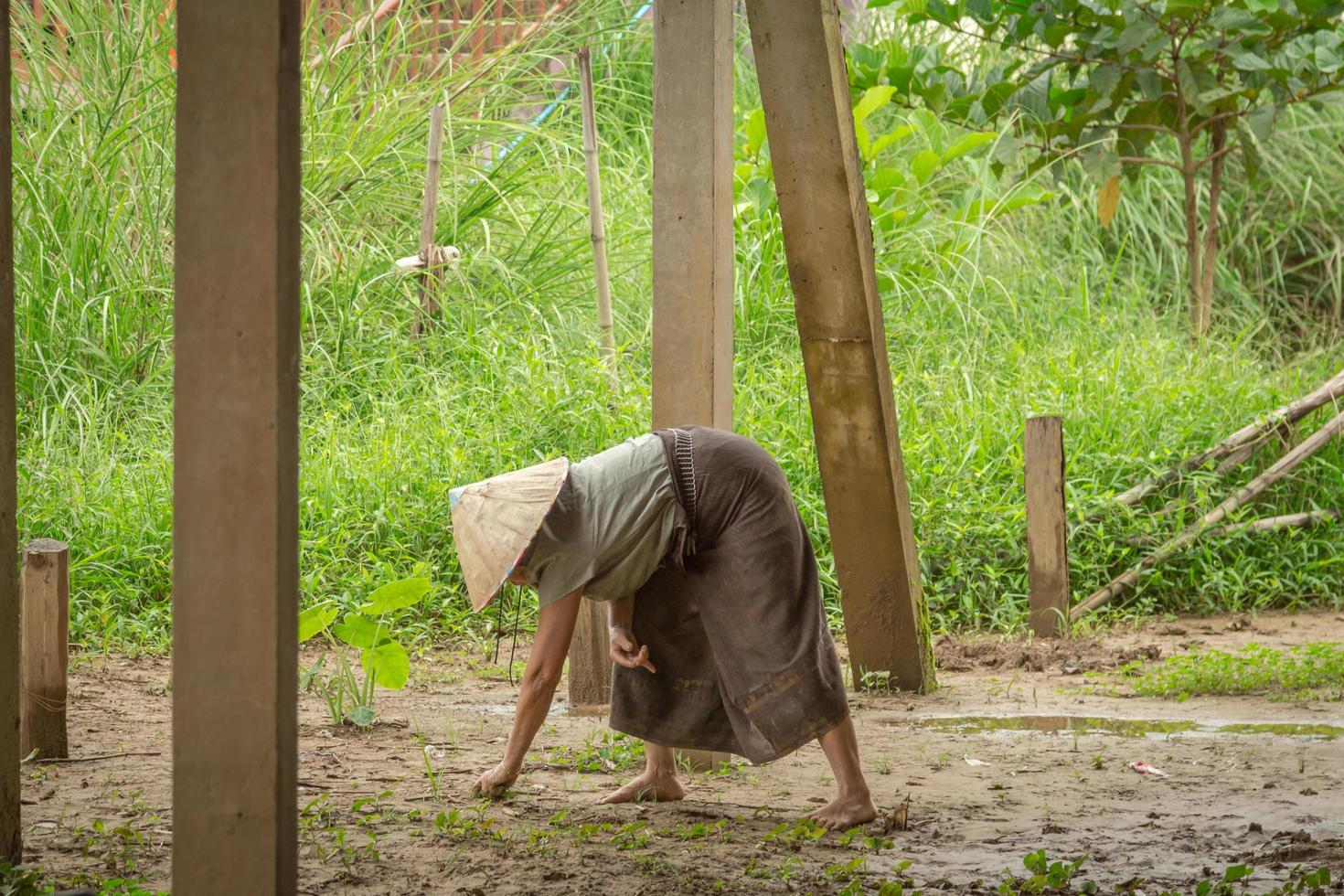 donna contadino su archiviato nel vangvieng, Laos. foto