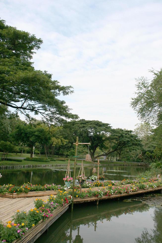 piante su un ponte foto