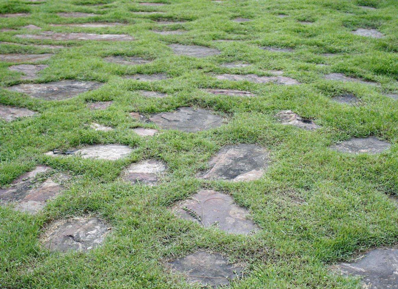 pietre in erba foto