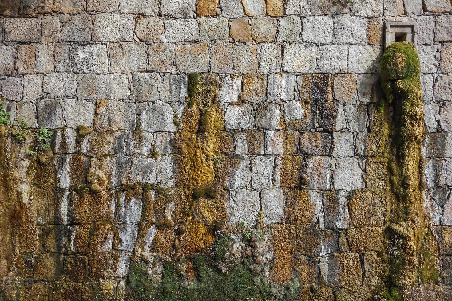 muschio e acqua che cadono da un muro foto