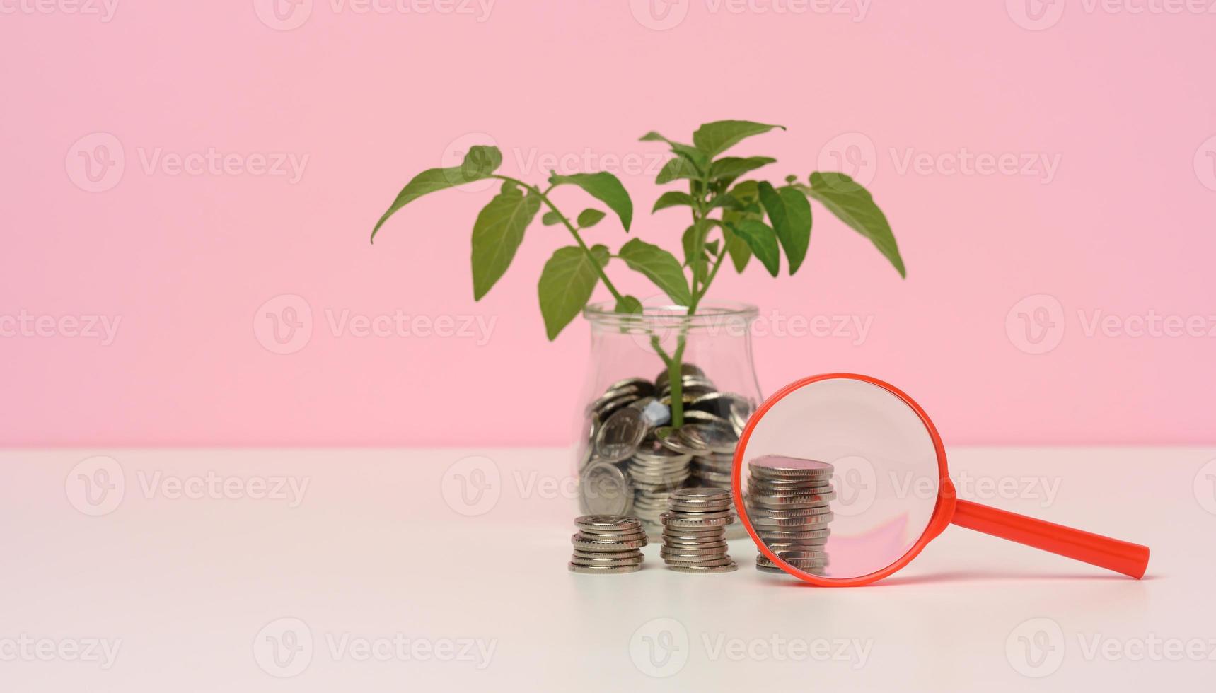 rosso lente d'ingrandimento e bianca monete nel un' bicchiere vaso e su il tavolo, germoglio con verde le foglie. reddito crescita concetto, alto percentuale di investimento foto