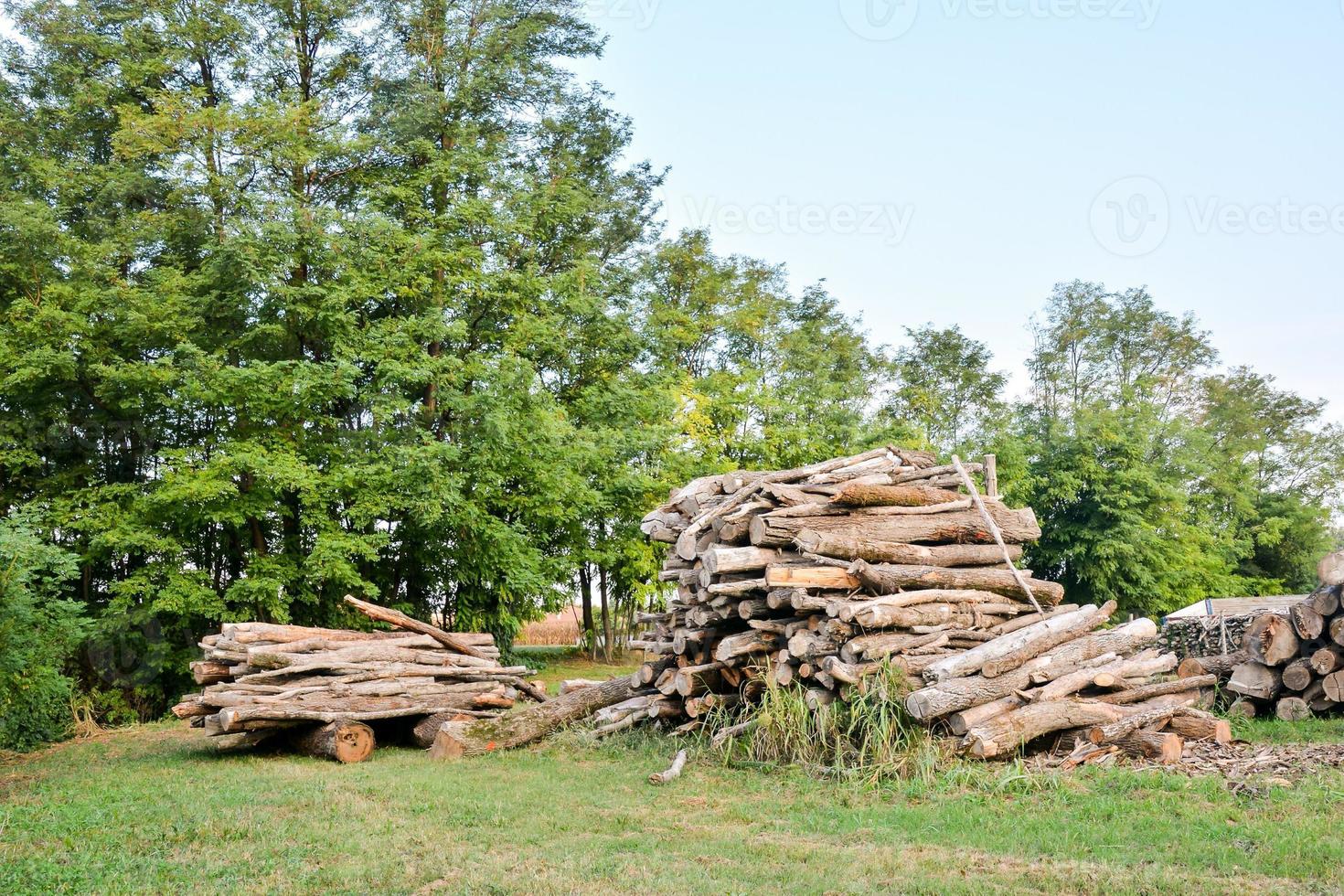 mucchio di tronchi di legno foto