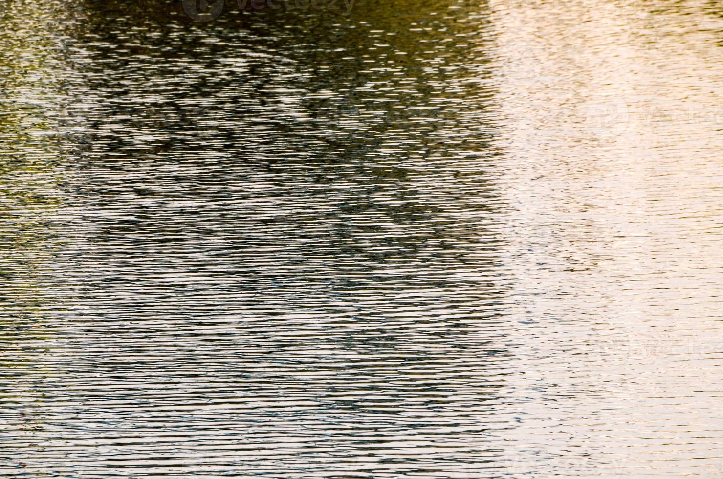 onde nell'acqua foto