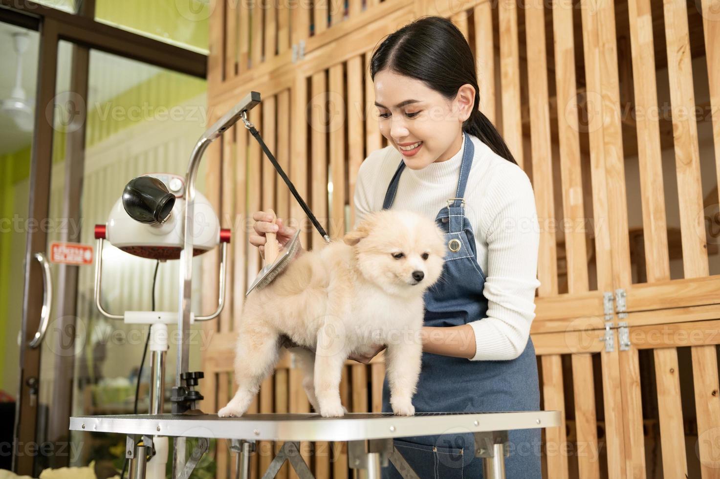 femmina professionale toelettatore pettinatura cane pelliccia a animale domestico terme governare salone foto