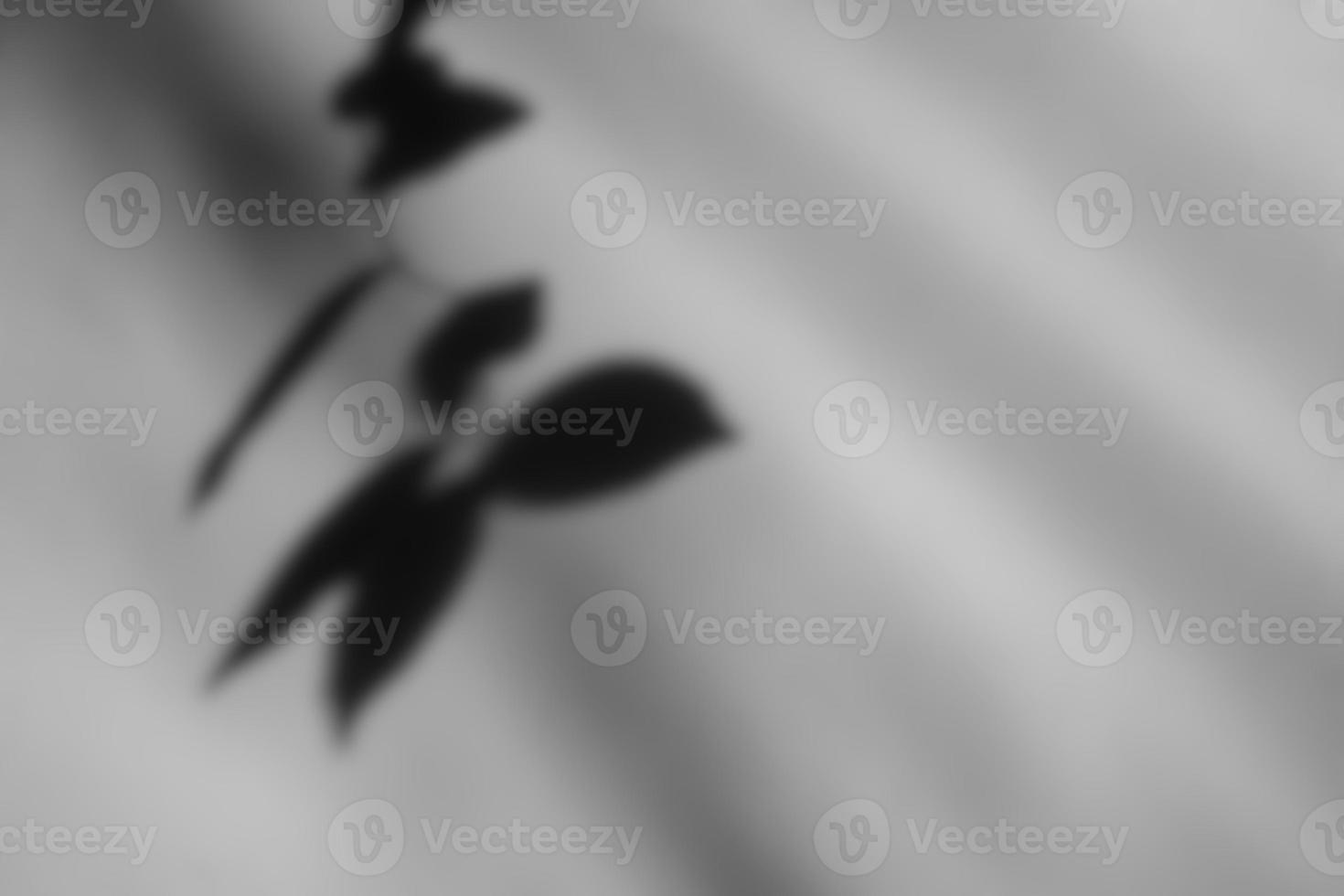 bianca sfocato sospeso foglia ombra e leggero fascio su sfondo, adatto per sovrapposizione, moltiplicare e colore getto effetto nel Prodotto Immagine. foto