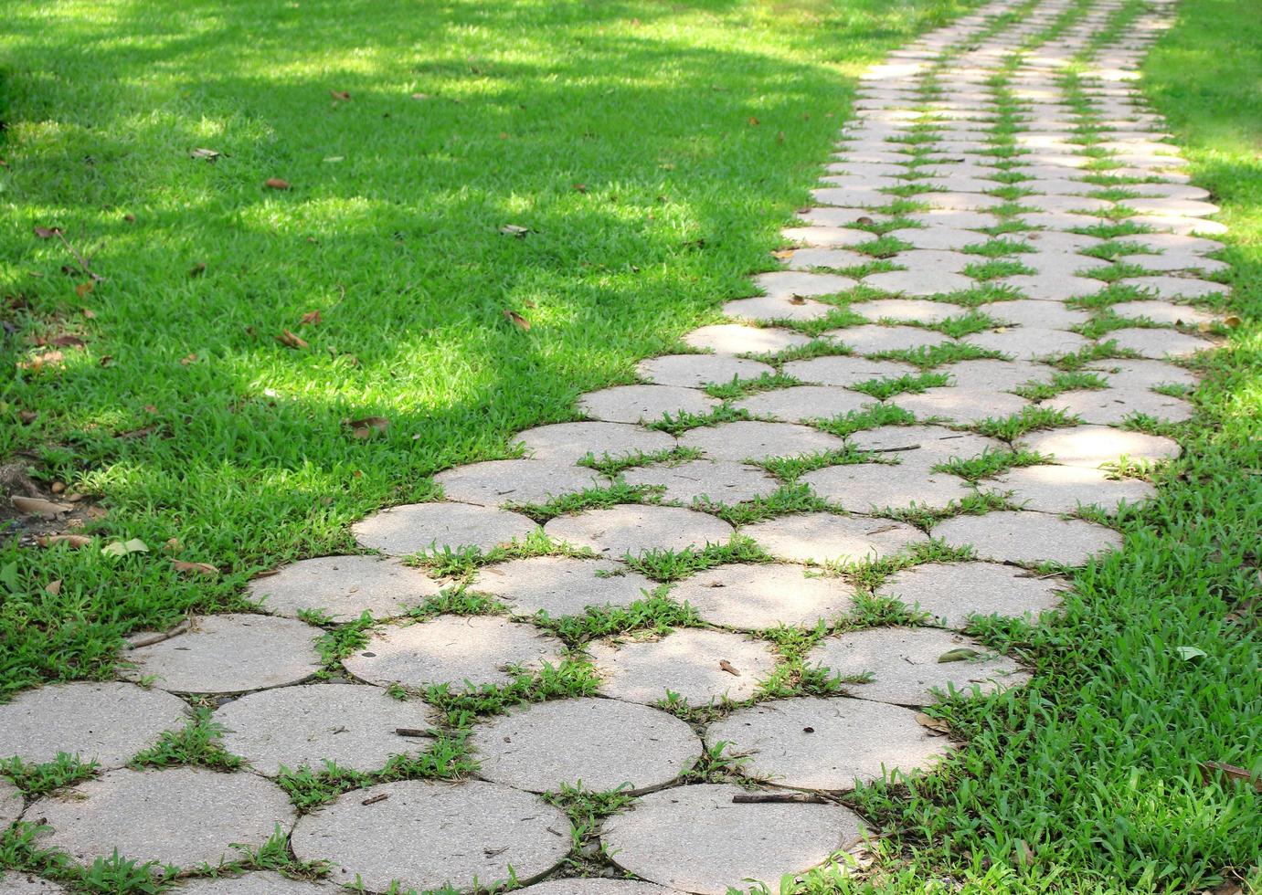 passerella in pietra sull'erba in un parco foto