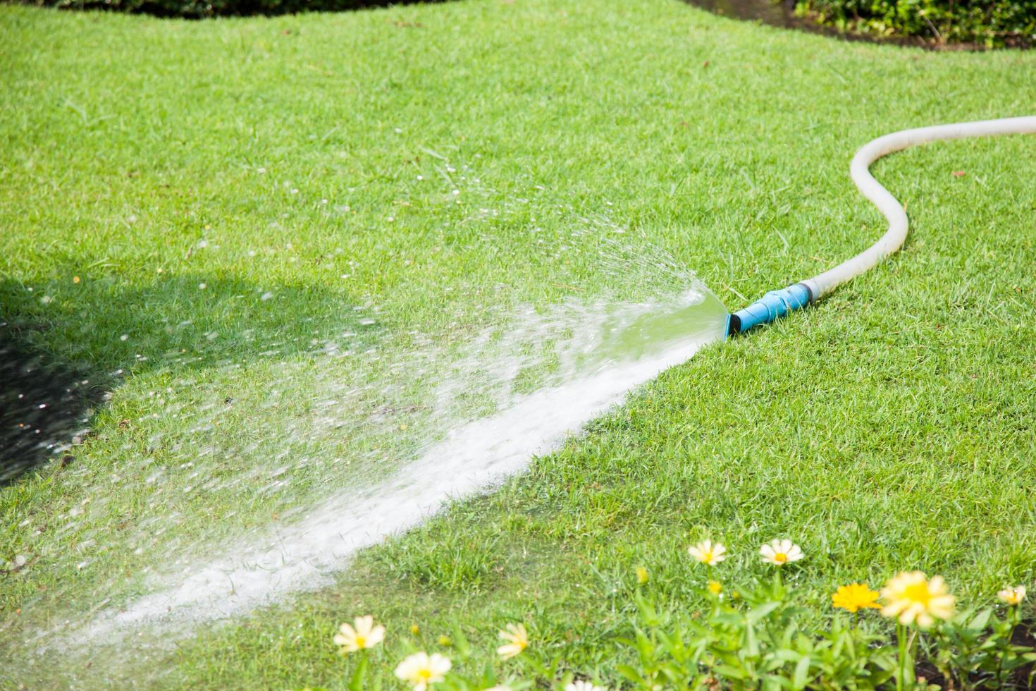 acqua spruzzata sul prato foto