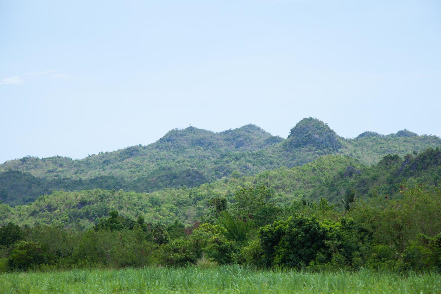 montagne e foreste foto