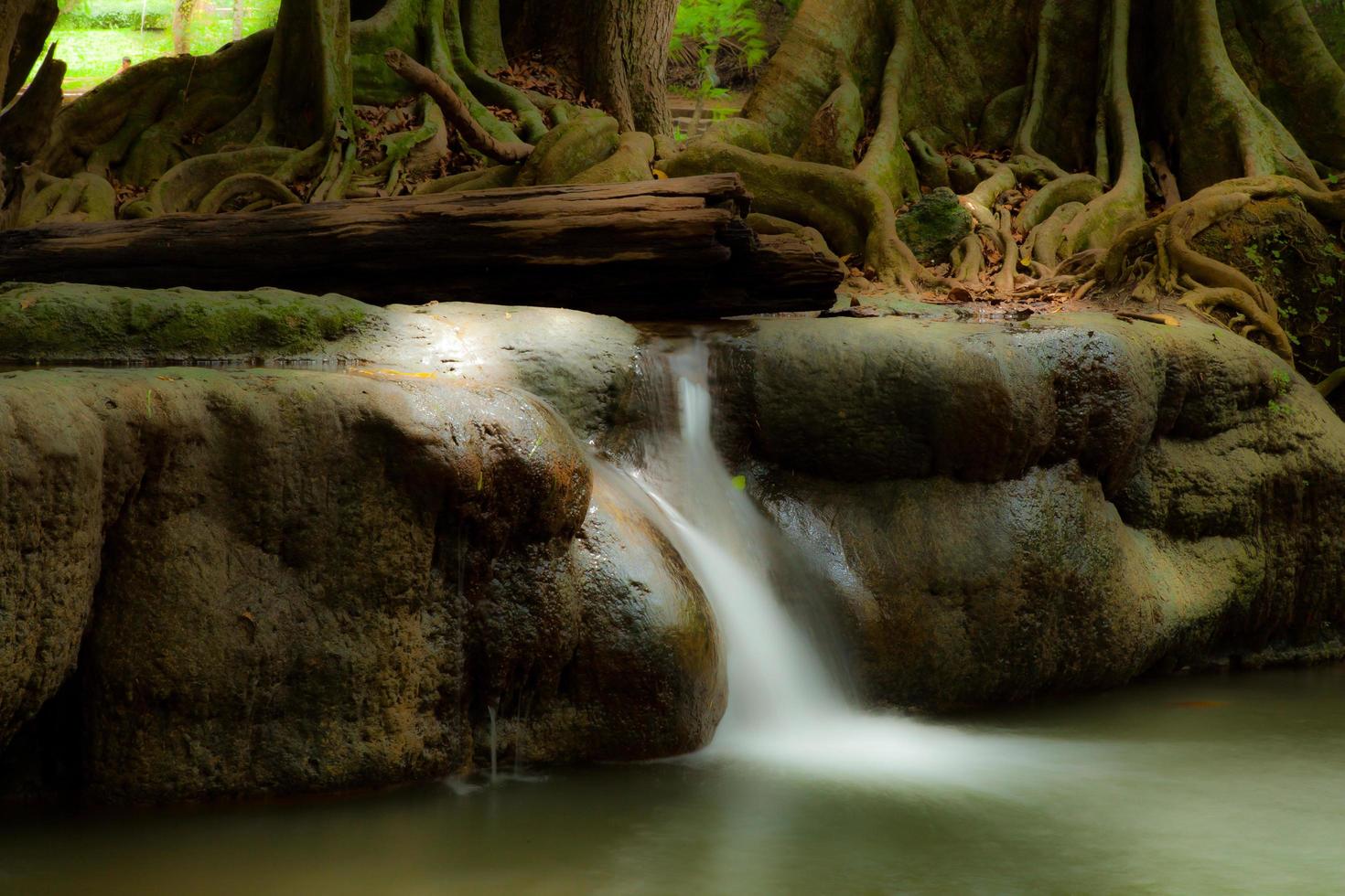 cascata in natura foto