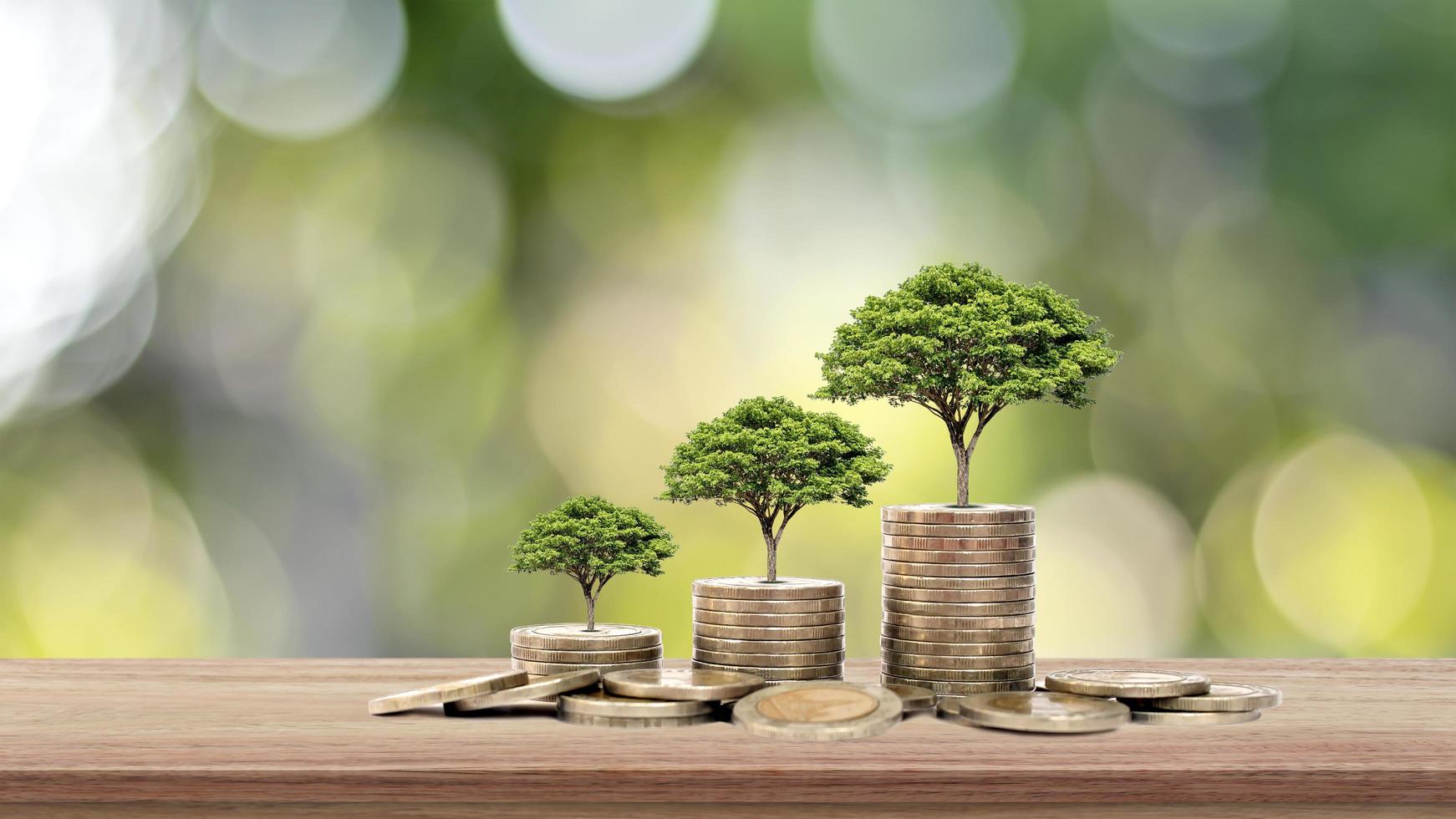 l'albero cresce su una pila di soldi su un tavolo in legno e sfondo naturale, il concetto di investimento finanziario ed espansione economica foto