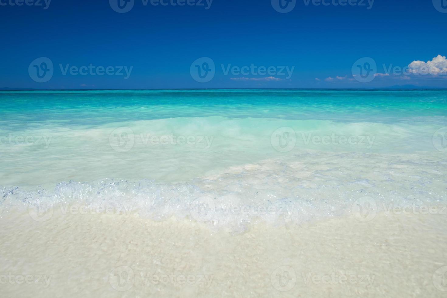 spiaggia tropicale durante il giorno foto