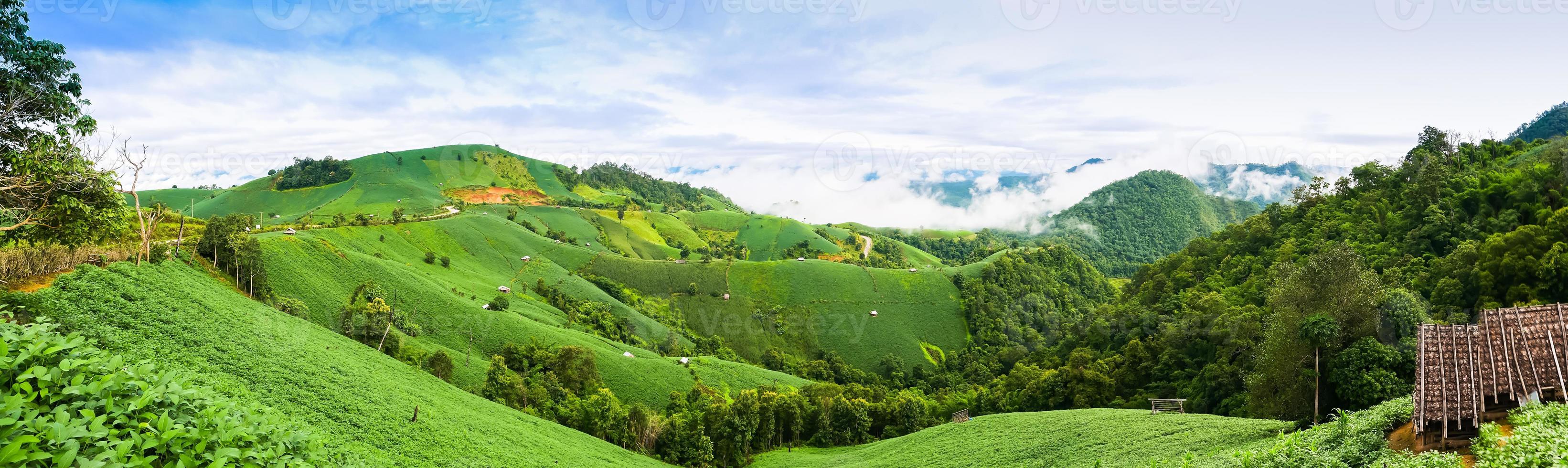 lussureggianti montagne verdi foto