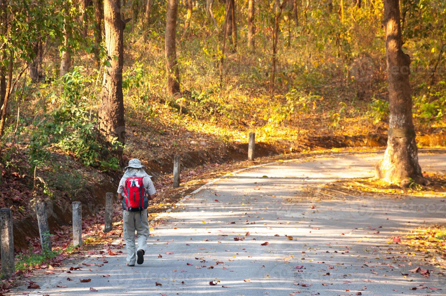 uomini a piedi con zaini nel il Asia foresta autunno stagione a partire dal Indietro. concetto avventura e viaggio turismo foto