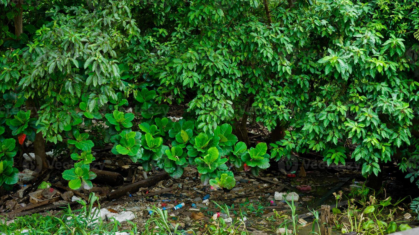 eichhornia crassipes o Comune acqua giacinto e molti spazzatura su superficie di acqua di choa praya fiume a bangkok, Tailandia foto