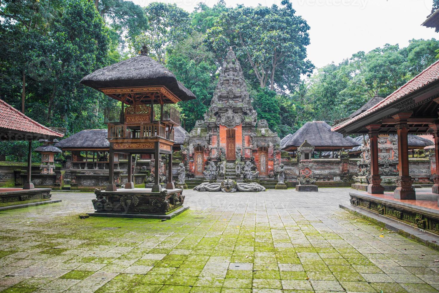 balinese tempio nel ubud sacro scimmia foresta foto