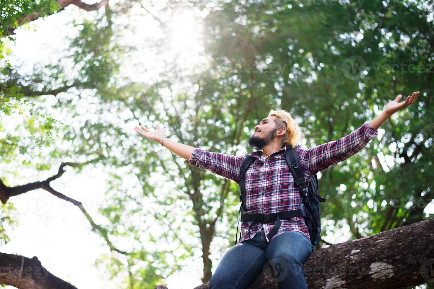 uomo giovane hipster seduto su un ramo di un albero nel parco. foto