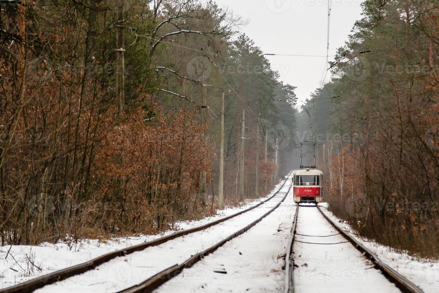 affrettandosi tram attraverso il inverno foresta foto