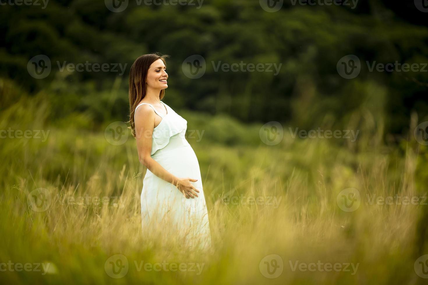 giovane donna incinta rilassante fuori nella natura foto