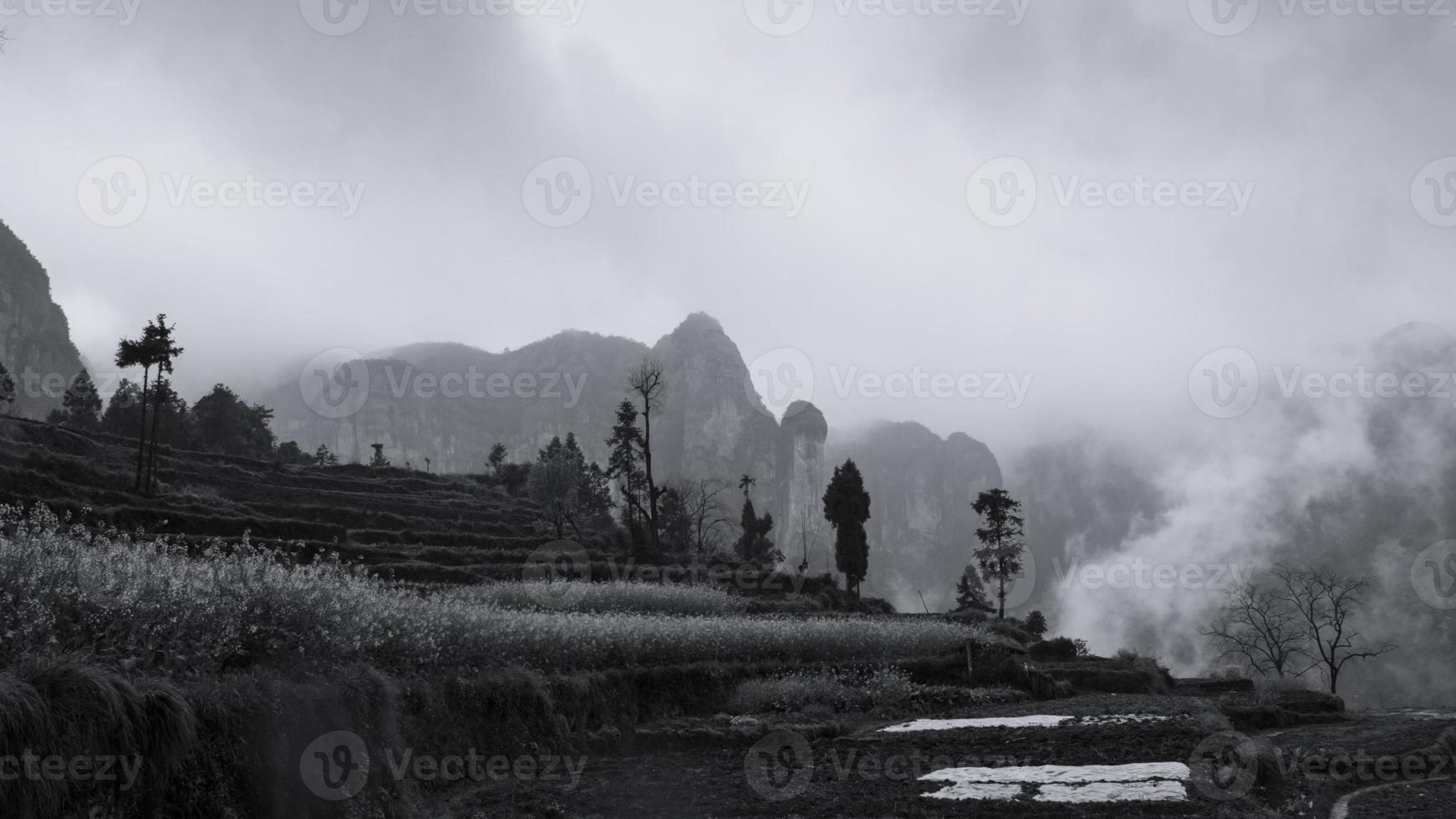 montagne nel nebbia quale Guarda piace Cinese acqua inchiostro pittura foto