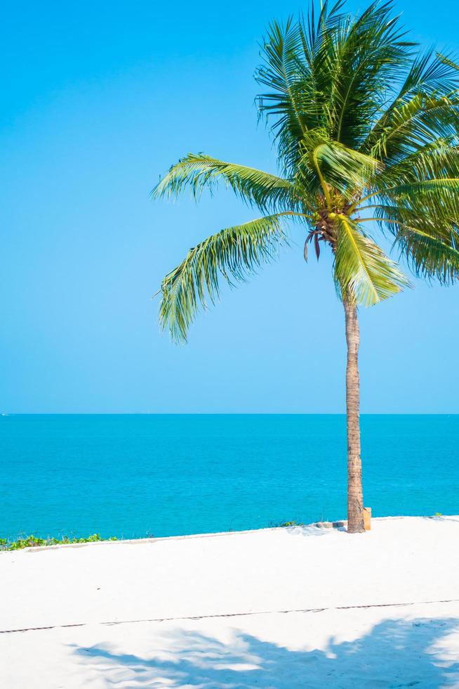 bellissimo oceano tropicale foto