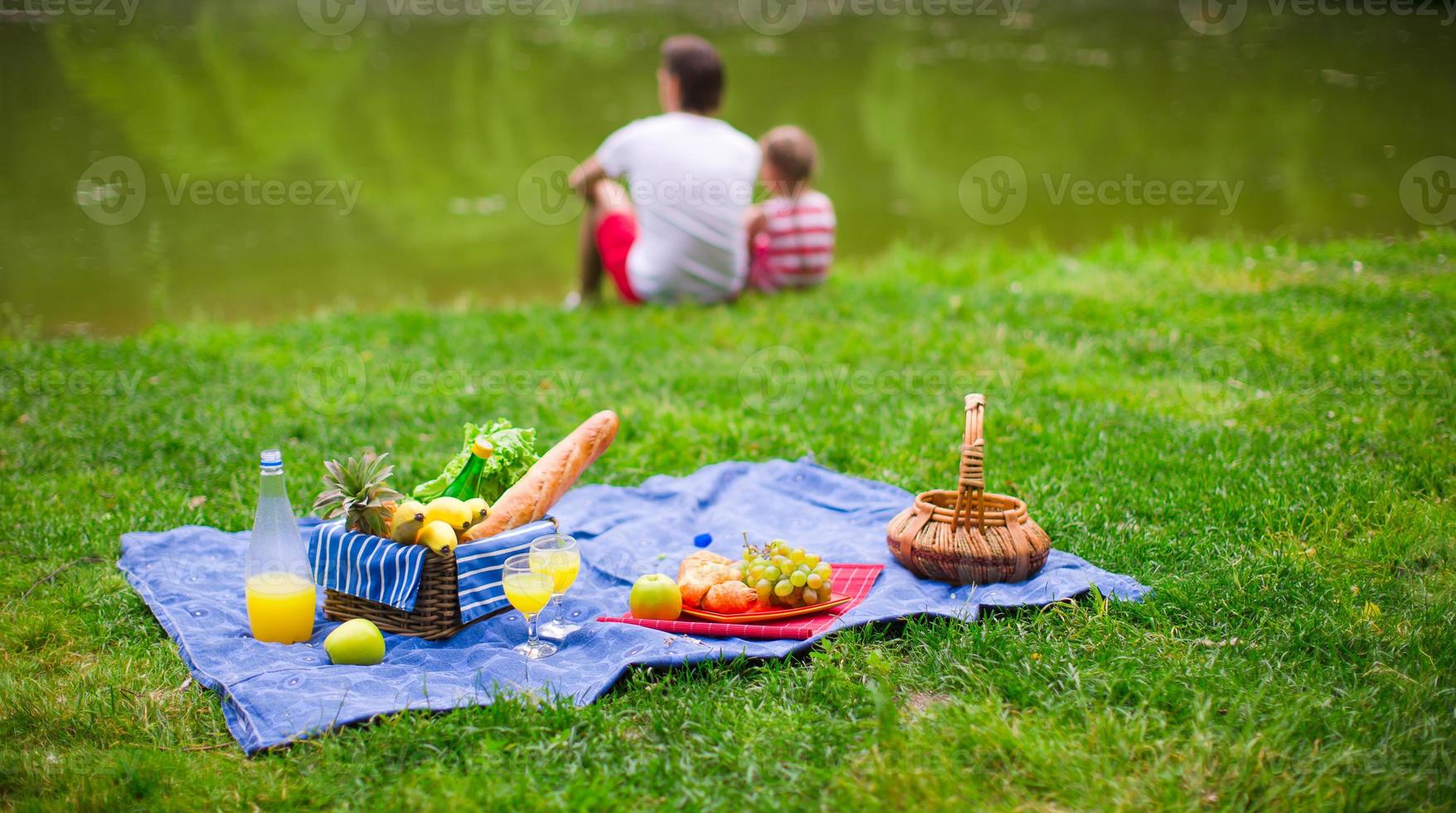 famiglia picnic Visualizza foto