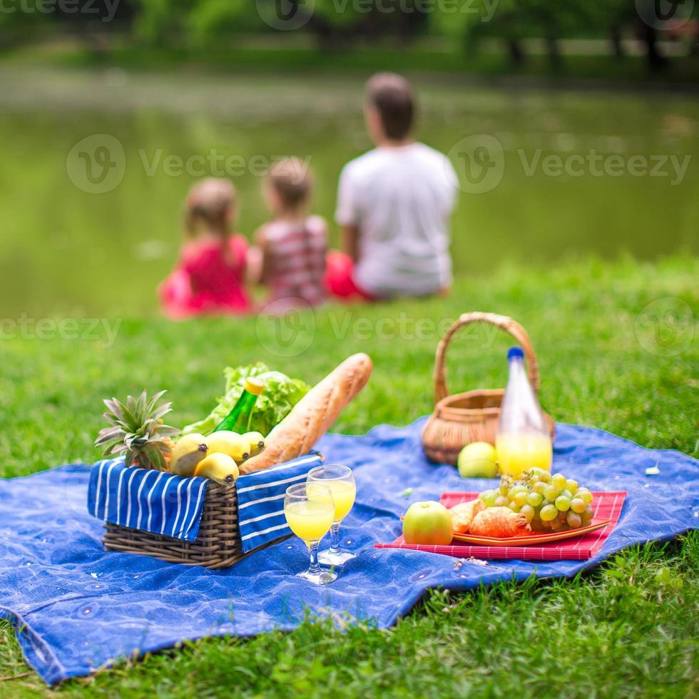 famiglia picnic Visualizza foto