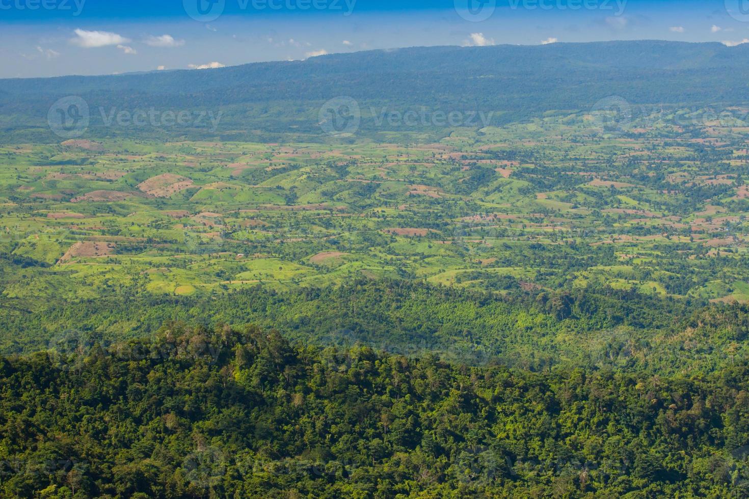 vista aerea di lussureggianti montagne verdi foto