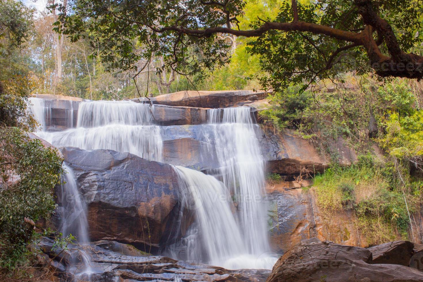 piccola cascata in una foresta foto