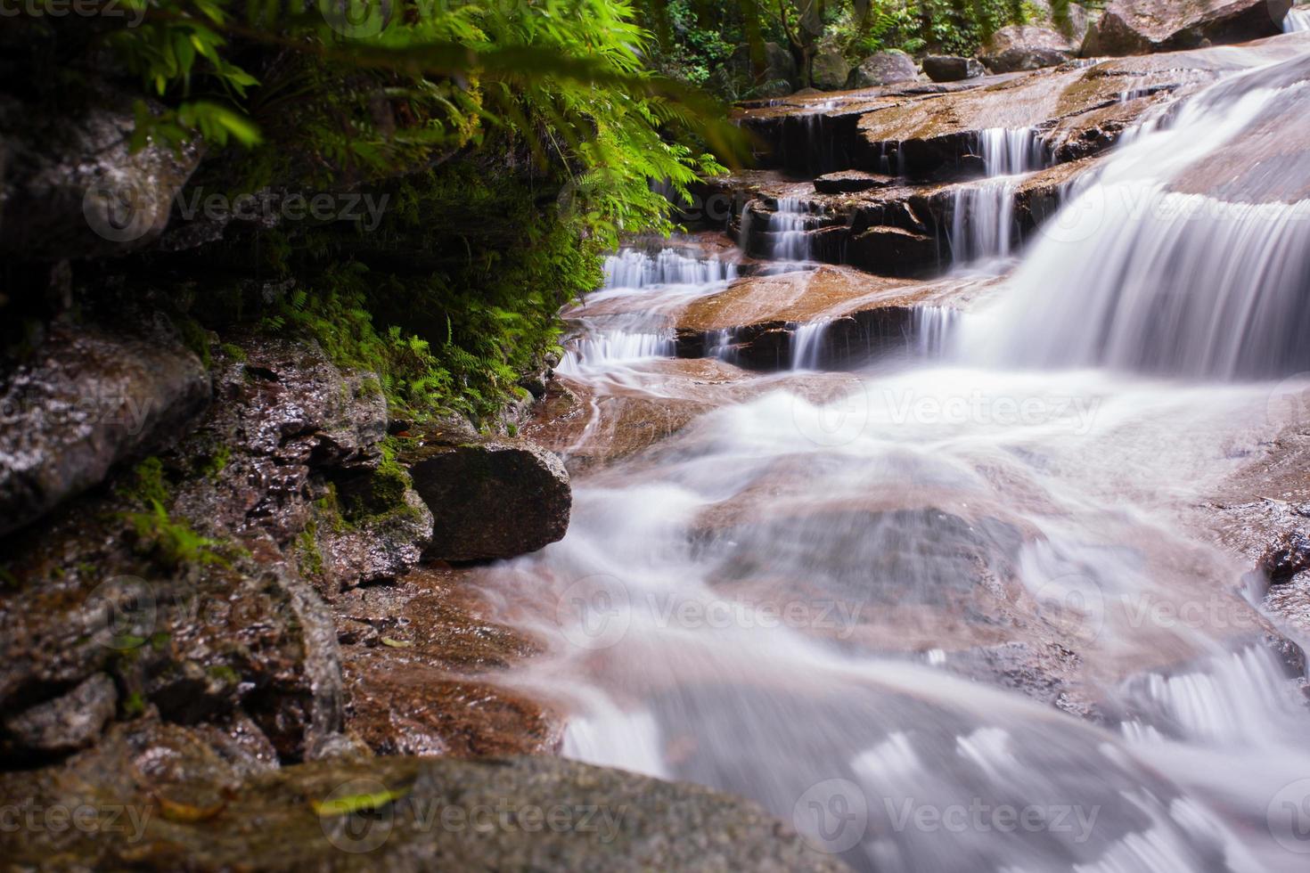 cascata in una foresta foto