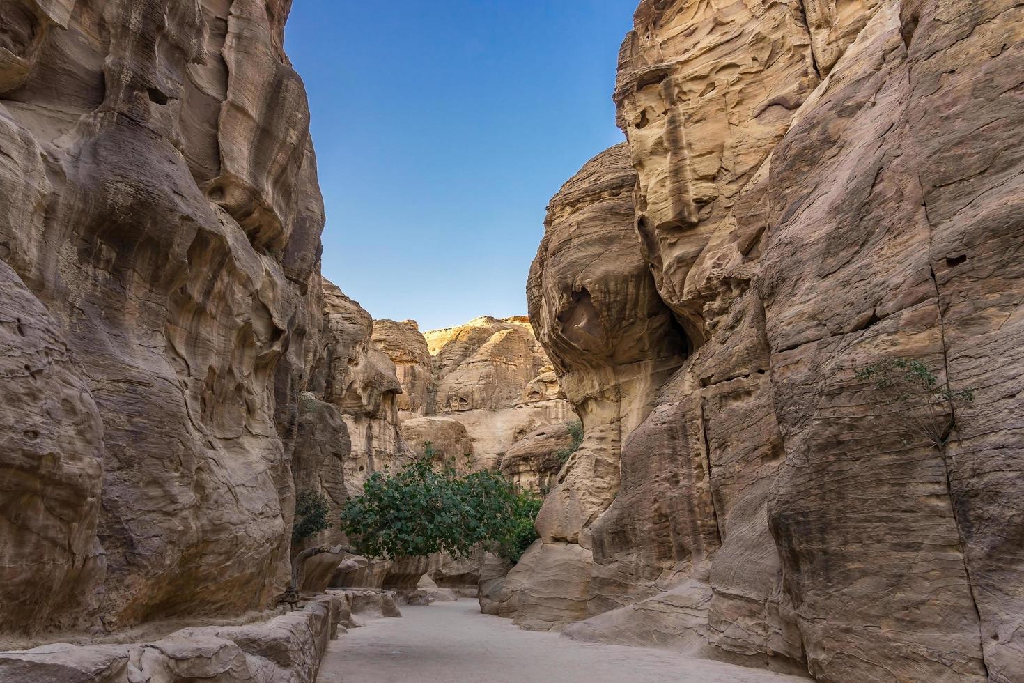 al siq gorge nella città antica di petra, giordania foto