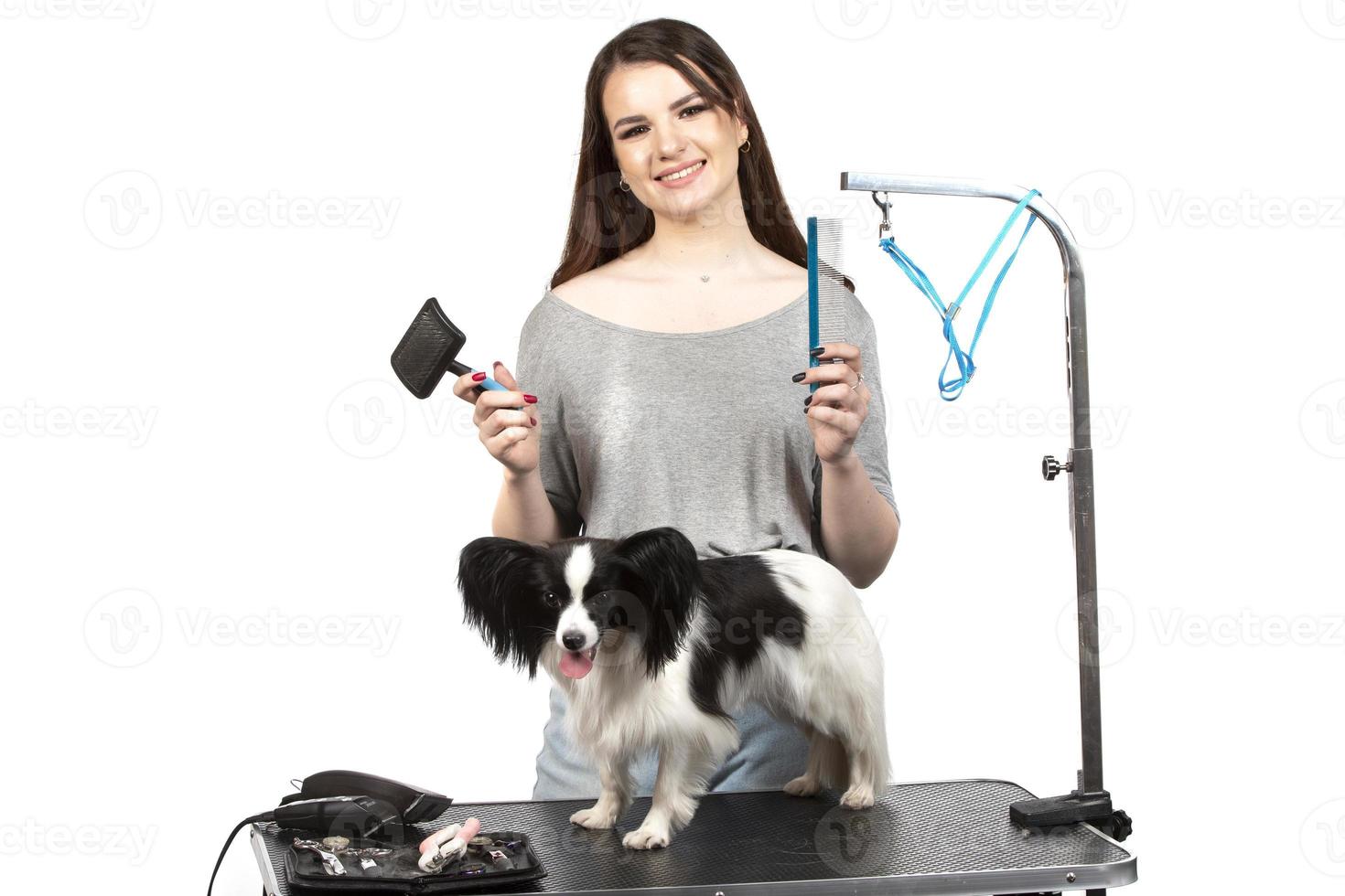 giovane professionale toelettatore con animali domestici. lei è in posa con un strumento. papillon cane e ragazza parrucchiere. foto