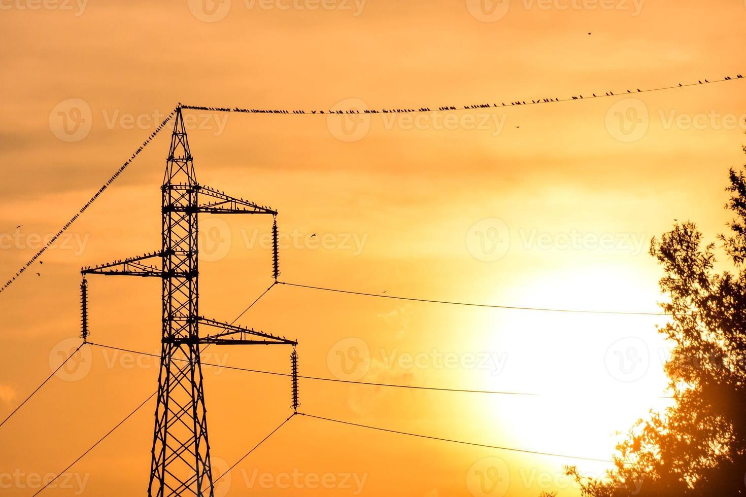 alto voltaggio elettrico linea a tramonto foto