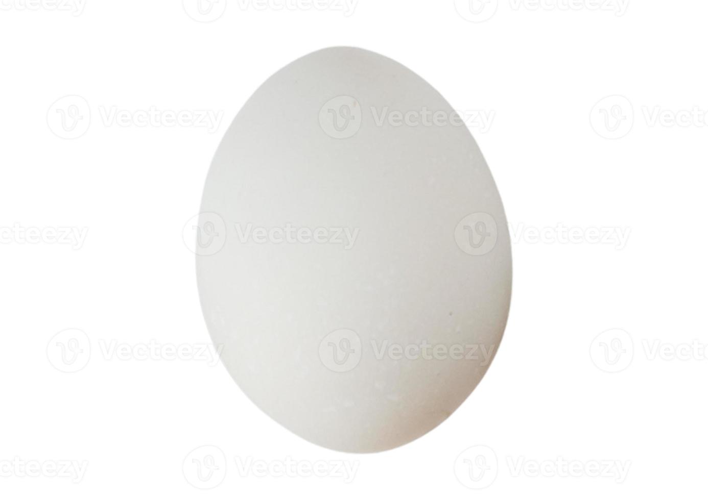 3011 uovo isolato su un' trasparente sfondo foto