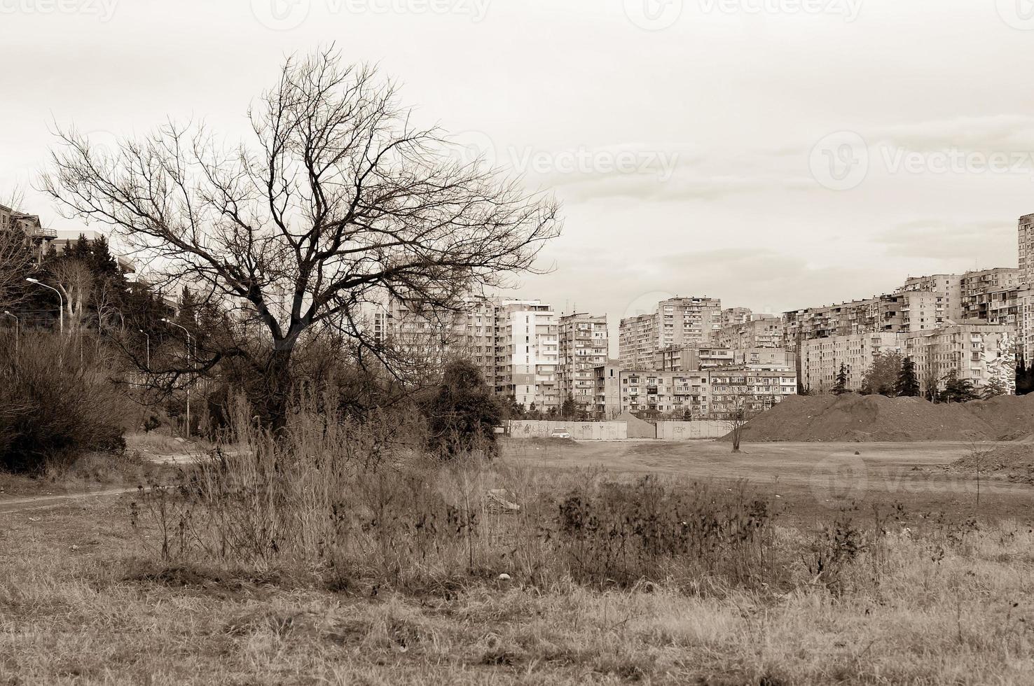 monocromatico Immagine di un' albero nel un' abbandonato la zona. urbano paesaggio nel seppia. foto