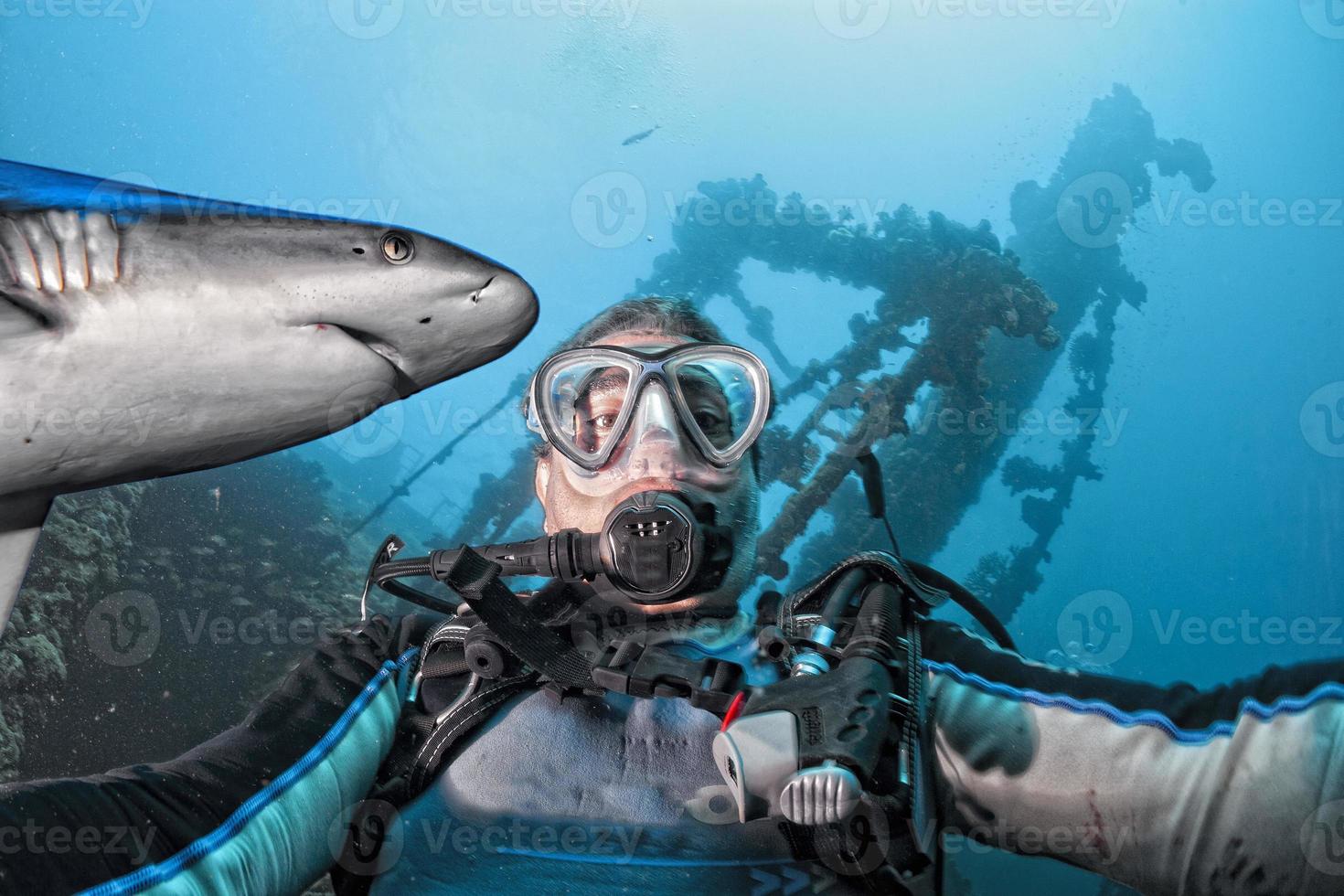 subacqueo autoscatto con grigio squalo pronto per attacco foto